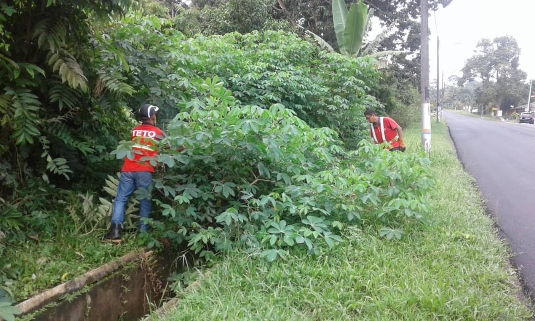 teto_eng_sb's tweet photo. Kerja-kerja pembersihan pokok liar sekitar kawasan longkang di laluan J175 Jalan Kg Lukut, Kota Tinggi @JKRKotaTinggi
Pengguna jalan raya disarankan berhati-hati ketika memandu
#tetocare #tetoaduan #tetoengineering https://t.co/cv9YHHOaMp https://t.co/IUNDzYLuU7