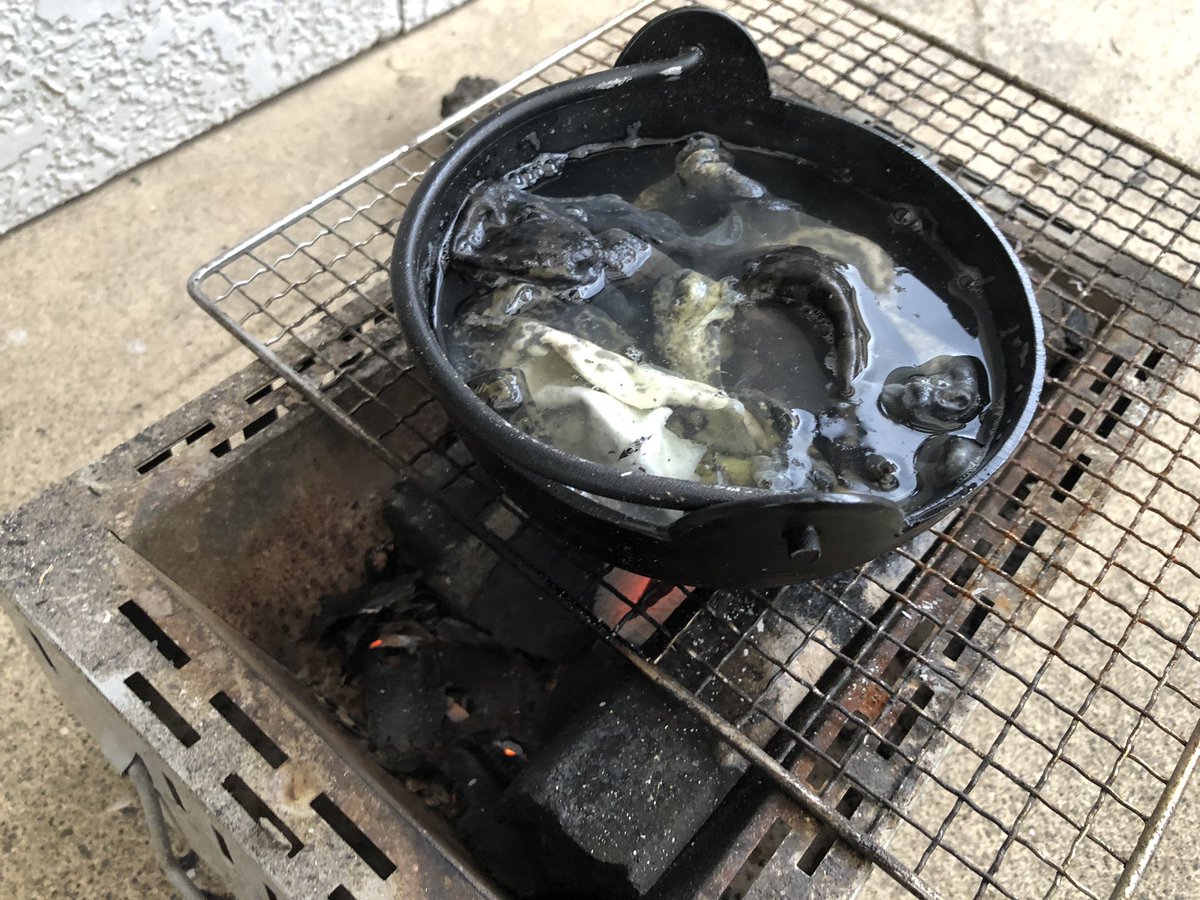 ガリオの夏休み ウシガエルの皮をなめして がま口 を作ろうとしましたが失敗しました 臭い消しと消毒を兼ねて茹でたところ 皮が柔らかくなってしまいボロボロになったからです 次は茹でずに 洗剤で臭い消しをしてみます