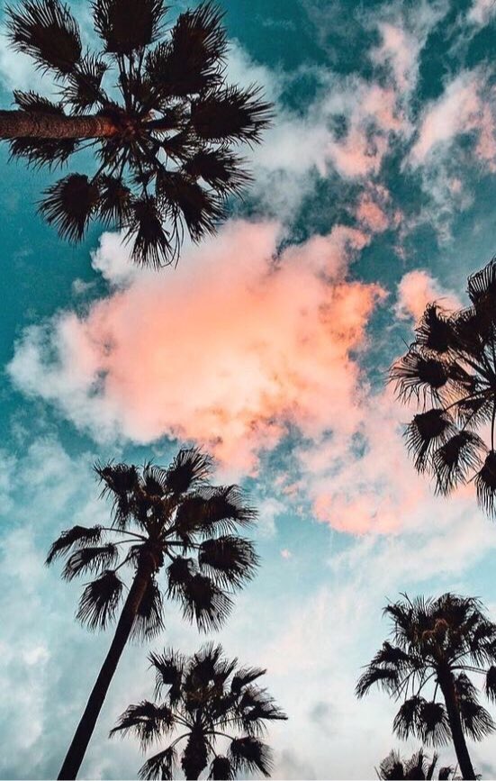 ThreadStars's tweet image. THREAD : 𝚏𝚎𝚎𝚍 𝚕𝚞𝚗𝚎 🌚🌙