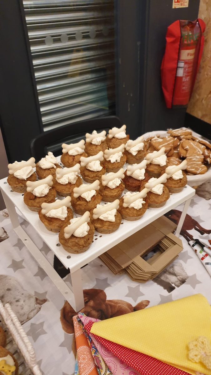 aboutthedoguk's tweet photo. We are at @BalticMarketLiv for their amazing birthday party. Pop down say Hi and join in the fun. #balticmarket #treats #dogs https://t.co/PpsPTBBdEp