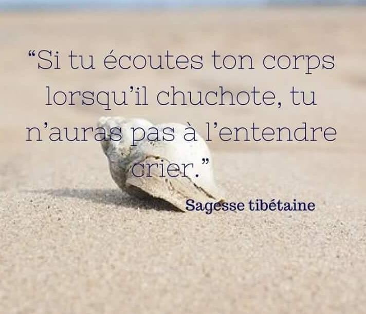 minute_zen's tweet photo. Il est important de s’aimer, s’écouter et prendre soin de soi...🧘🏼♀️🧘🏻♂️
Ce sont les premiers pas vers le bonheur.👣
Belle et douce journée à tous.💕💕💕
#bonheur #santé #soin #BienEtre #EtreBienDansSonCorps #EcouterSinCorps #zen #calme #sérénité https://t.co/uuw4c0CQkq