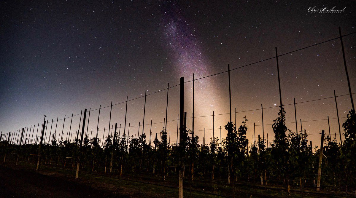 ChrisBFH's tweet photo. Rond middernacht een heldere sterrenhemel boven #fruitboomgaard @kolkenbosch , mooi moment om de melkweg te fotograferen. #milkyway #hollandsfruit @BuienRadarNL @weeronline @NbGeldermalsen @Lingestreek @Erik_Burgers @OmroepGLD @WestBetuwe https://t.co/b5mELTfNJ8