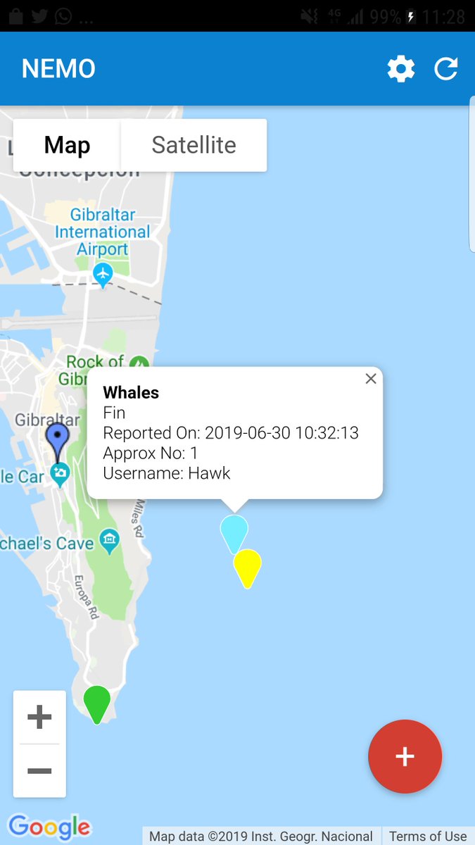 #Gibraltar Finn whales have been reported on #NEMO on the East side 🐋🐋🐋🐋. If you are in the area on a boat please remember to keep your distance and reduce your speed

 #CetaceanProtocol

Thanks to @Hawkhayes12 for the sighting 👍😎