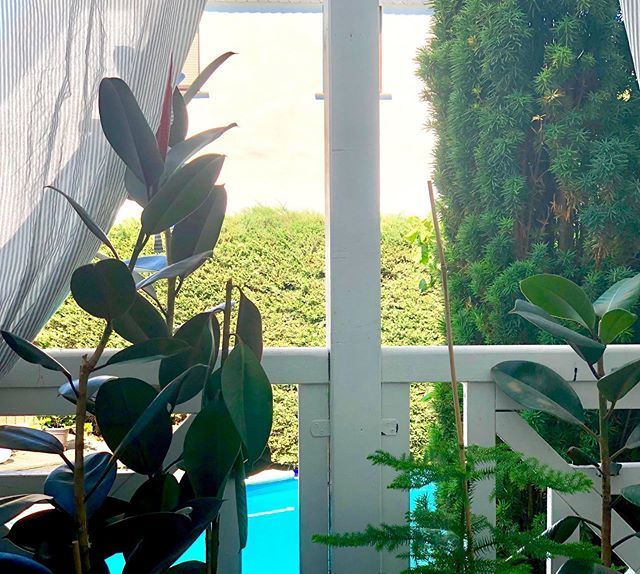 seni_bl's tweet image. Ausblick - Urlaub - Faulenzen bei 
36° 
Ich pendle zwischen #ontheporch und #inthepool ift.tt/2LrNtVu