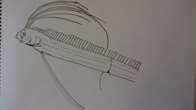 ラプトルのtwitterイラスト検索結果