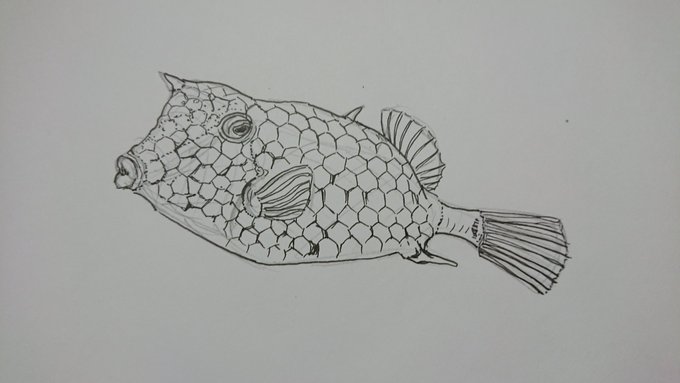 ラプトルのtwitterイラスト検索結果 古い順