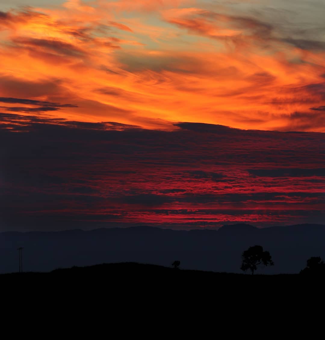 justshillong's tweet photo. Photo by : @shngain_khongsti (on Instagram)
Place : Dainthlen, Sohra
#Meghalaya #Shillong #Sohra #Dainthlen #Northeast #India #sunset #warmsky #sihlouette #naturalbeauty #nature #landscape #hills
Source : https://t.co/dE9IgQgxH1 https://t.co/GbZmmQh8QO