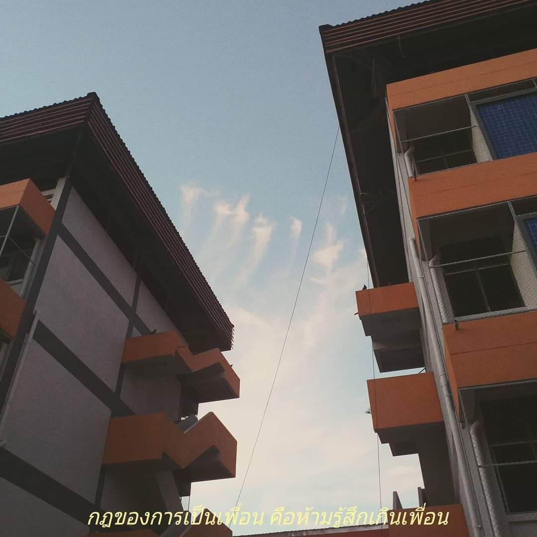 pengloop's tweet image. 🖤