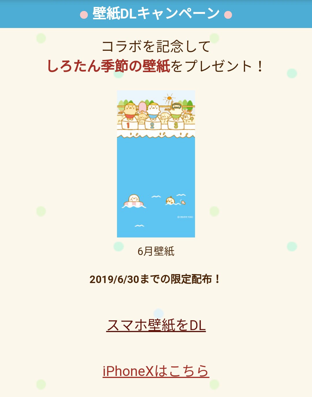 しろたいわん W W みんな大丈夫 6月終わっちゃうけどニフティアルバイトさんのしろたんプール壁紙dlお忘れないように 7月は何かな Nifty Arbeit しろたん ニフティアルバイト