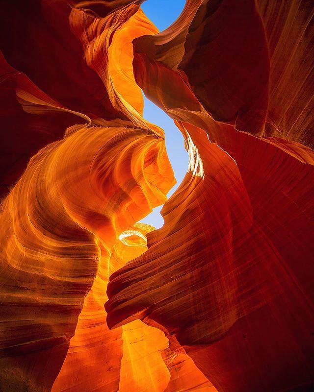 Filippo Rivetti tweet media