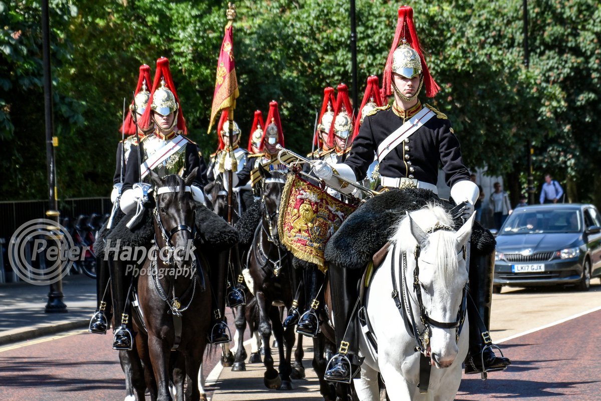 petephotographs's tweet photo. Photographs taken on the walk from #GreenPark to #HydePark in May 2019 #London #amateurphotography  #Londonphotography #nikonphotography #potd #travelphotography #Visitlondon  #RoyalparksLondon #LondonRoyalParks https://t.co/R2MuDeBV3s