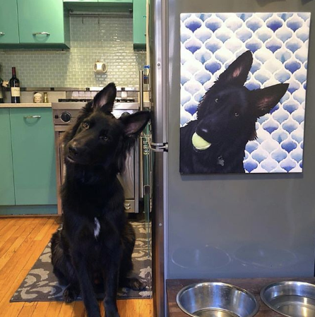 PopYourPup's tweet photo. What, what's so funny? @jacquelinehicks https://t.co/FU6gRuJxIC💥#doglover https://t.co/mmgLISe17u