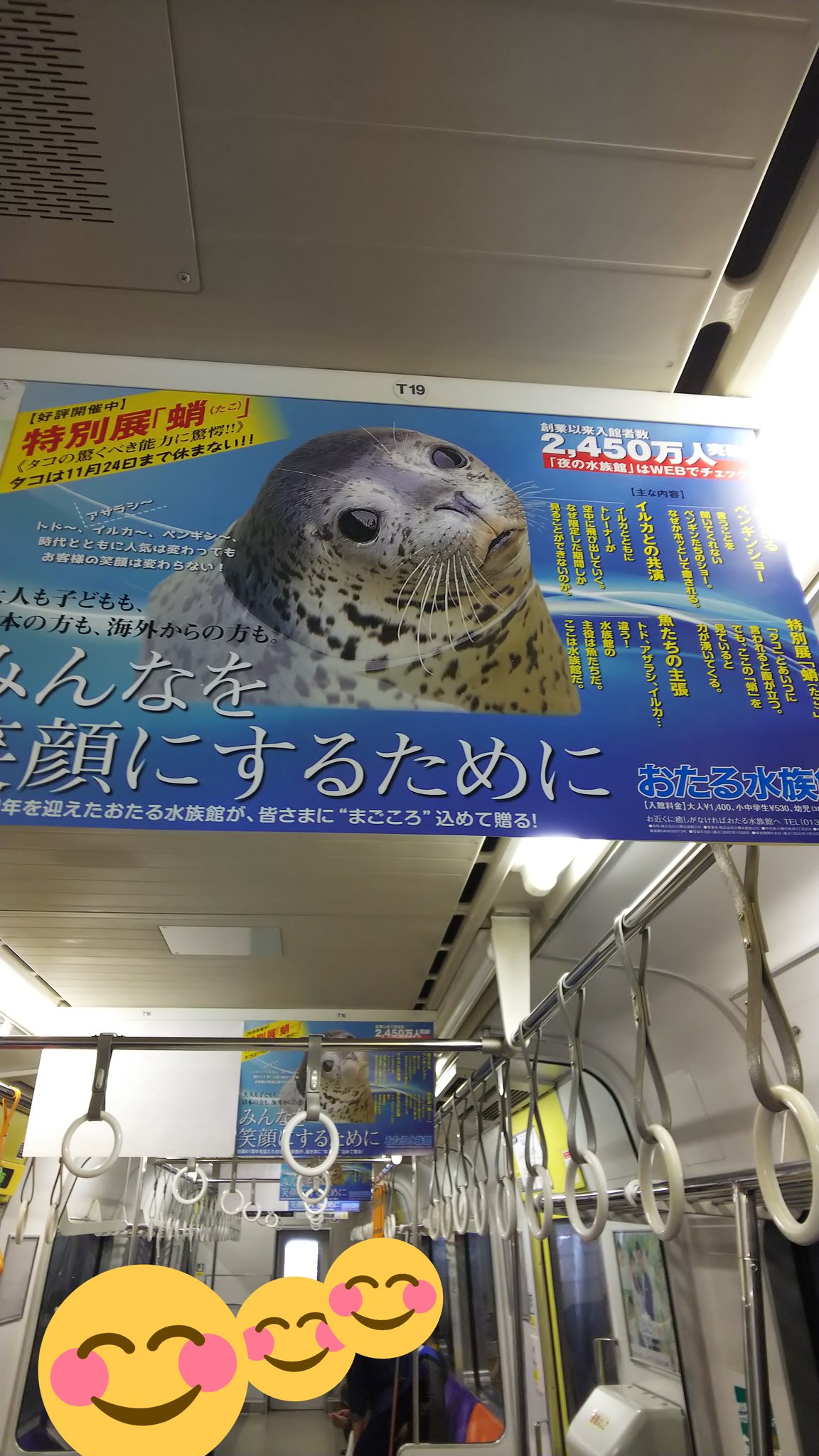 ゴマちゃん 可愛い 可愛い アザラシ あざらし 中吊り広告 小樽水族館 ゴマちゃん 可愛い 可愛い アザラシ あざらし 中吊り広告 小樽水族館