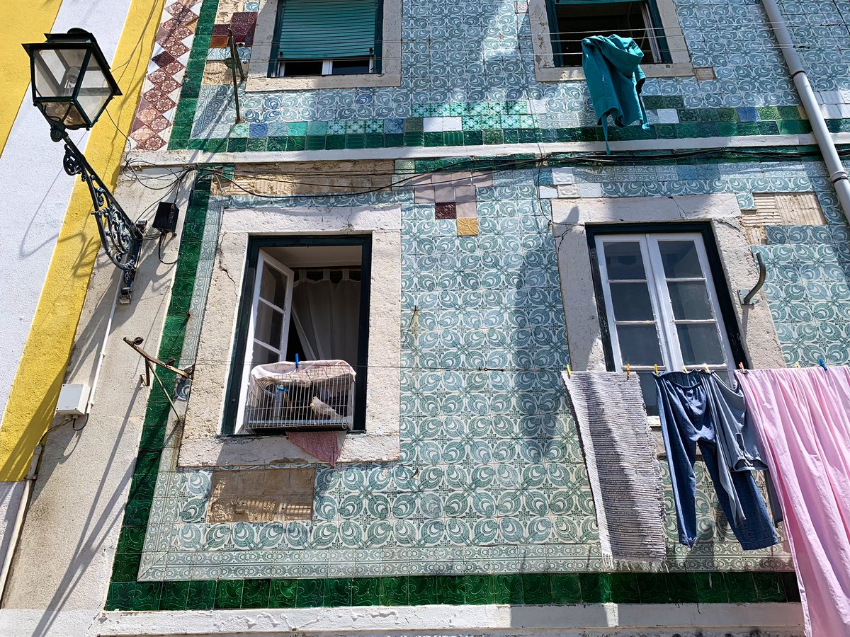 pedrojdoc's tweet photo. Piu 🐦
#Lisboa #verytypical https://t.co/dg0bkEc5t2