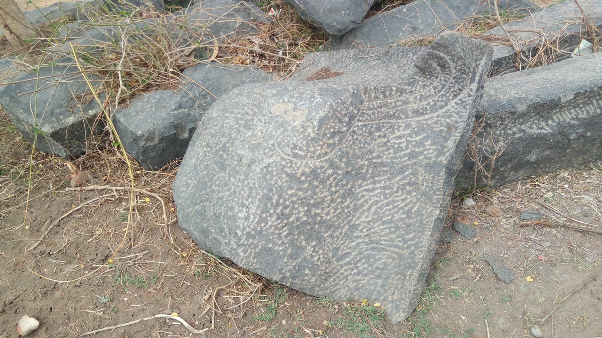 Dr. R. Prasanna Kumar🇮🇳 tweet media