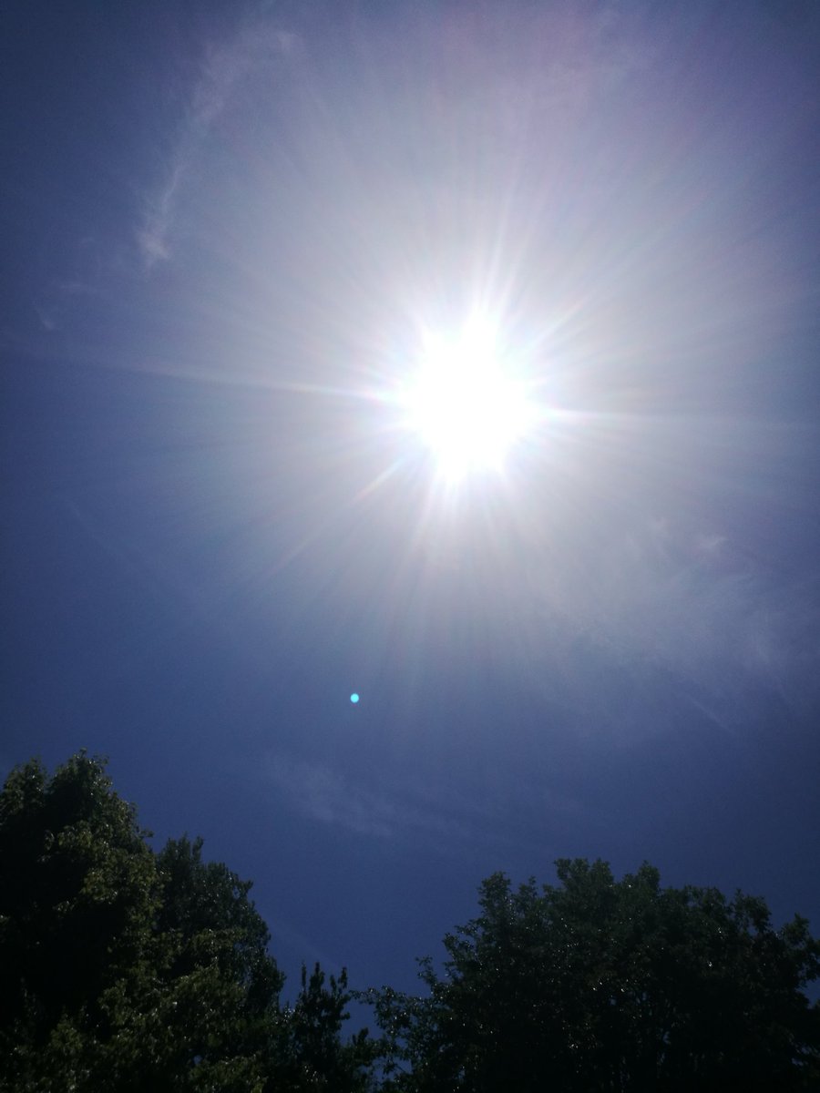 InvictusGP's tweet image. Den Sonntag genießen.