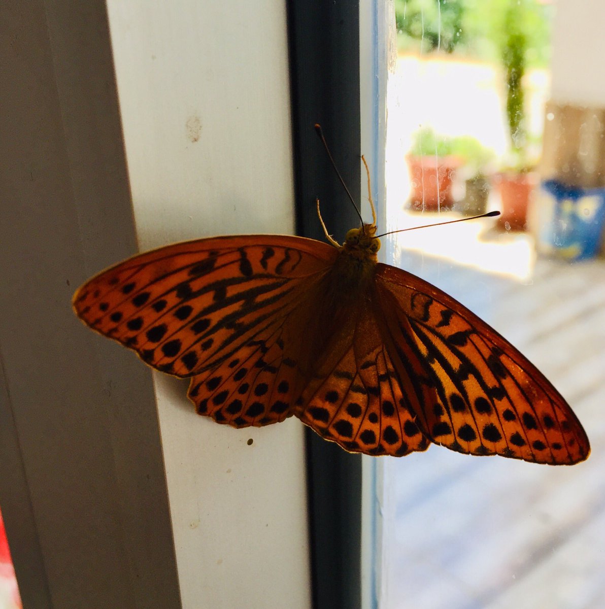 Geçen hafta bugün ve artık o yok..