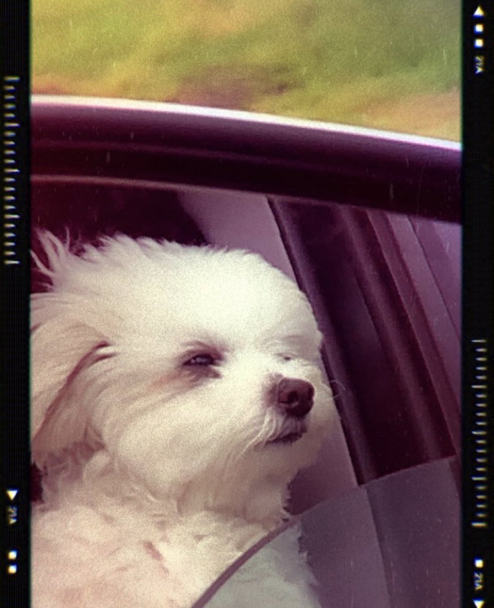 Summer feelin’ 🥓