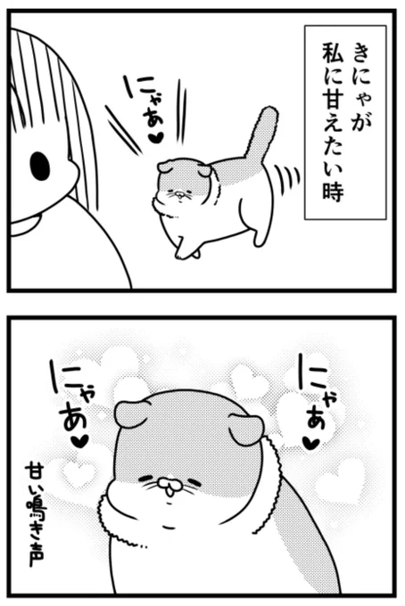 猫のきにゃと、ごとうさん(218) 甘え方  #マイナビニュース 