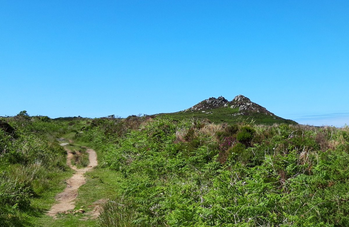 The skyline on the moors behind Zennor is dominated by the twin-peaked tor enclosure of Carn Galver. There are some remains of a settlement on it but there's also a school of thought that thinks Carn Galver the objective of an ancient processional route. #PrehistoryOfPenwith