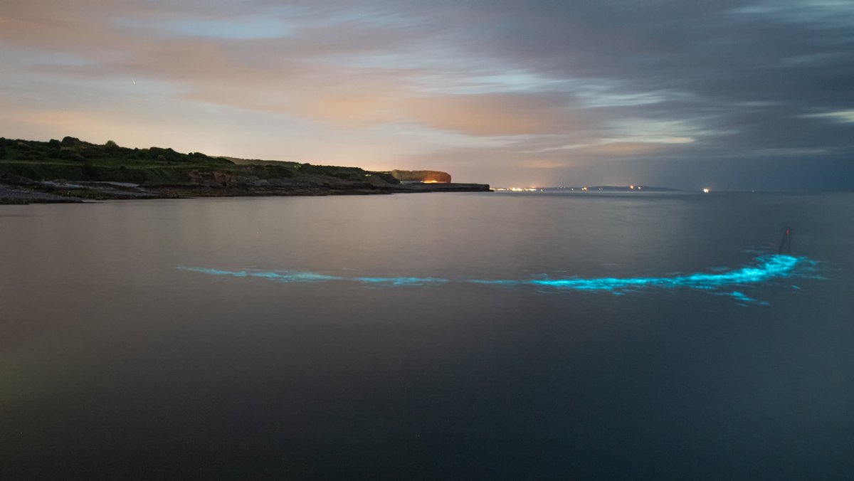 ItsYourWales's tweet photo. Pure brilliance from Phil with this #WelshGem at Penmon Anglesey as Bioluminescent plankton reacts to a paddle boarder and waves – don’t you just love the #WondersofWales shared by #PeoplewithPassion #ItsyourWales @angleseyboy - get your wonders of Wales to us to feature all week https://t.co/NEZcVXveOs