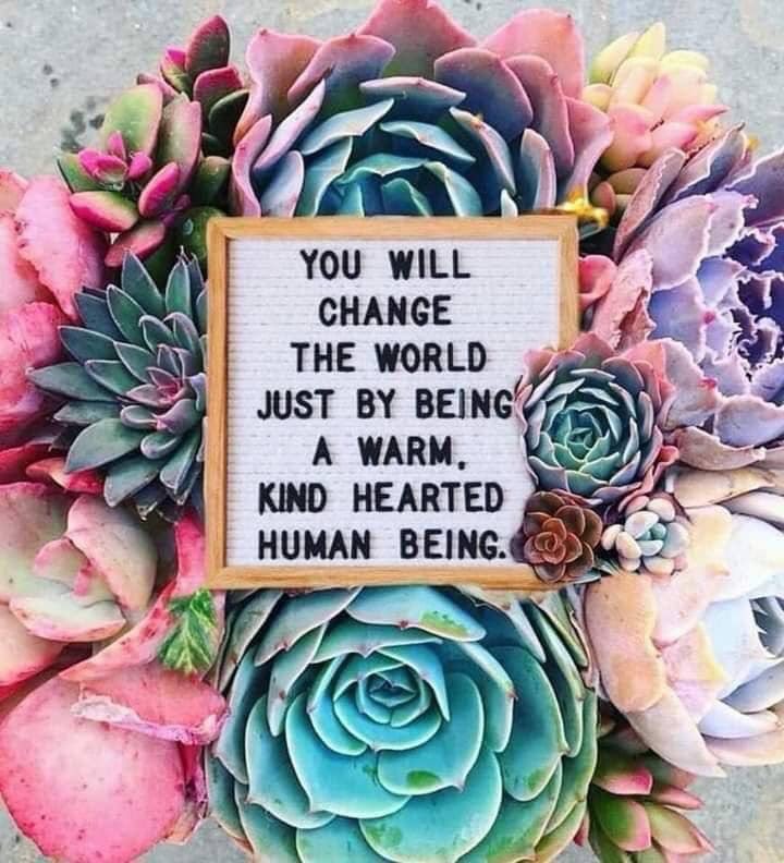 texhexmom's tweet photo. https://t.co/QZHVIVPLEf