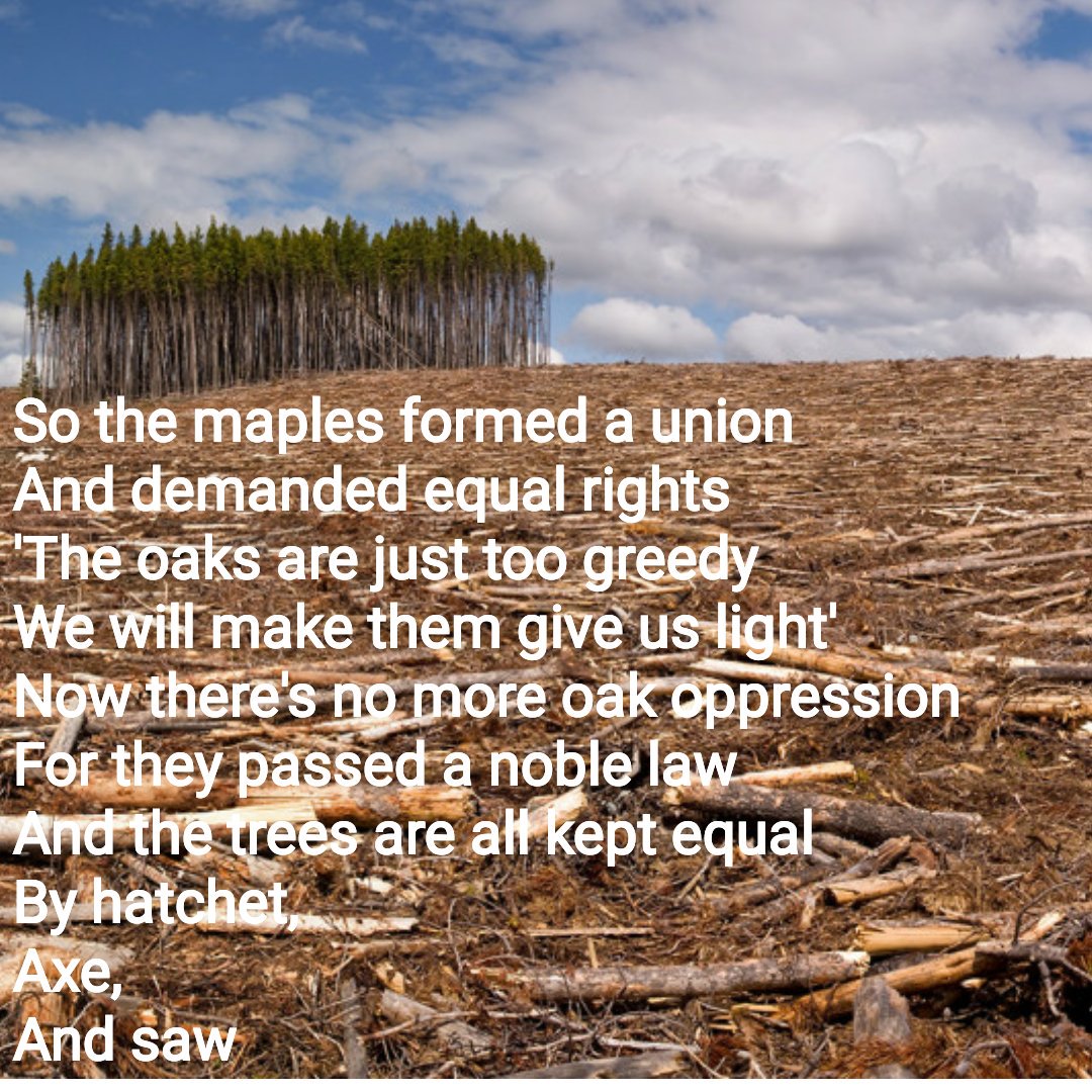 MGTOWEconomist's tweet photo. Rush - The Trees
https://t.co/lcuLbz7nag https://t.co/A2n2bw23sW