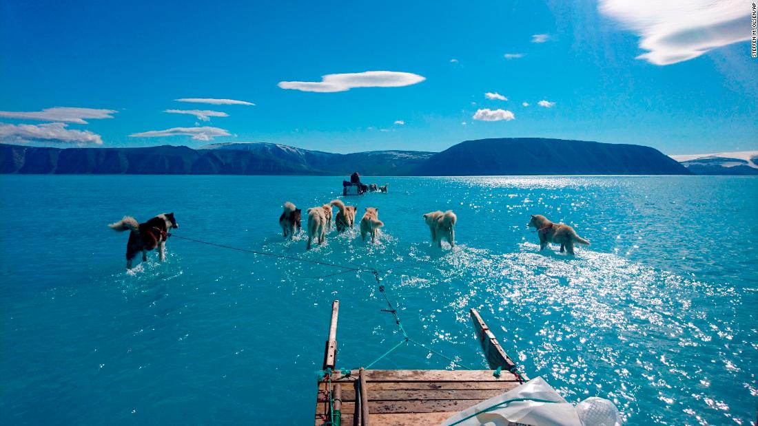 CNN's tweet photo. This photo of sled dogs walking through water shows the reality of Greenland's melting ice sheet https://t.co/ggFHUkRrIp https://t.co/vwMt86CjzV