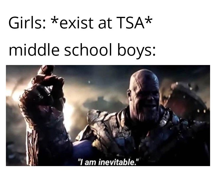 TSA Memes tweet media