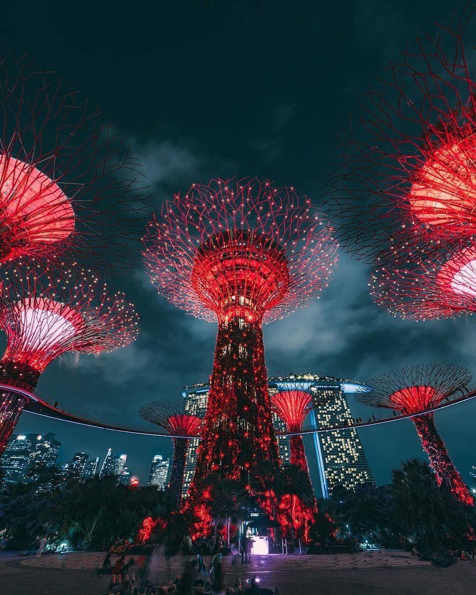 WingtoGo's tweet photo. Call us to book your flight, hotel and tour package to #Singapore #wingtogo #turkishairlines #flightticketdeals #hoteldeals #carrentaldeals #travel #trip #journey #vacation https://t.co/E5Dge4SyaV