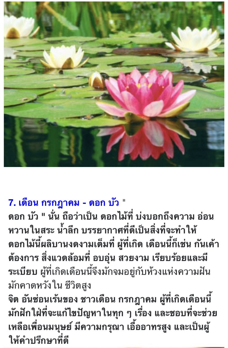 🥀 P tweet media