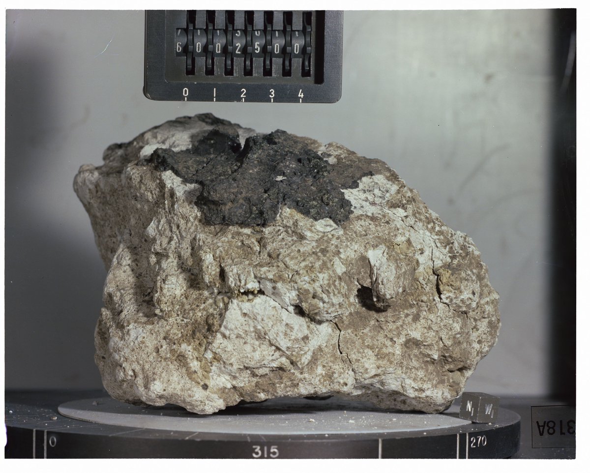 Apollo Lunar Rocks : Latest News, Breaking News Headlines | Scoopnest