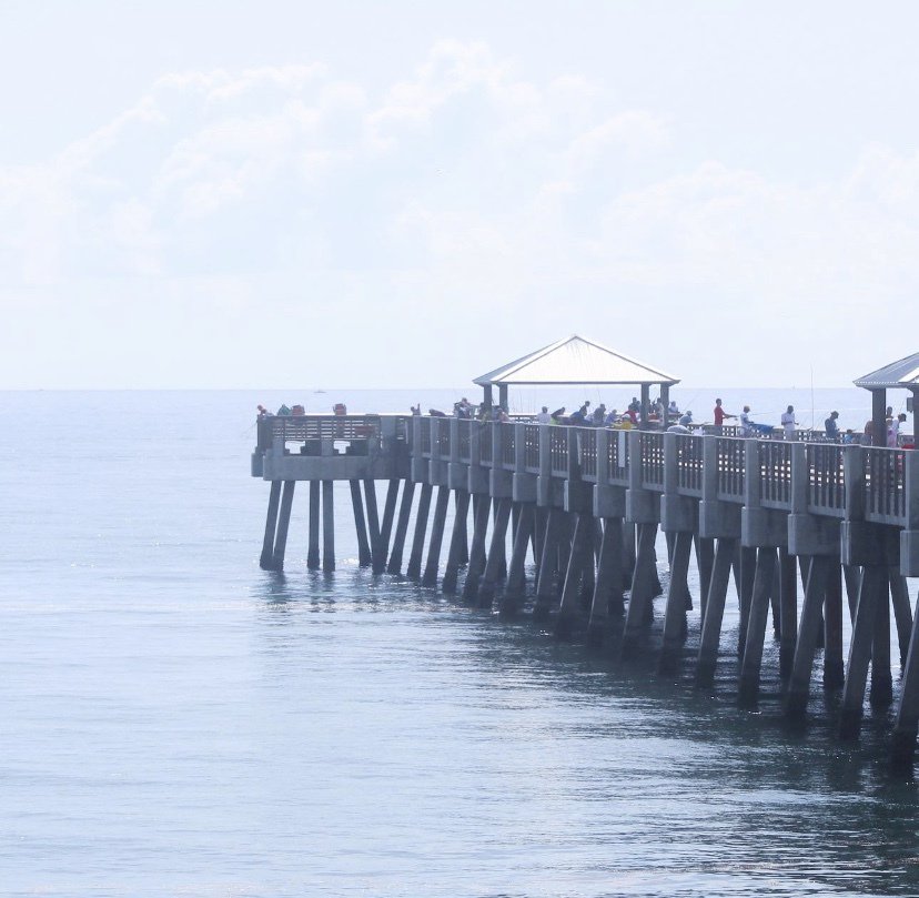 JupiterSurf's tweet image. Juno Pier Surf Report 6-30-19 10:36 ift.tt/2Ymu7EL