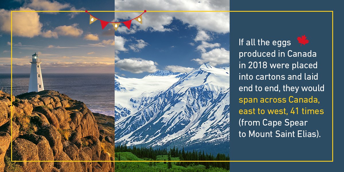 Egg Farmers tweet media