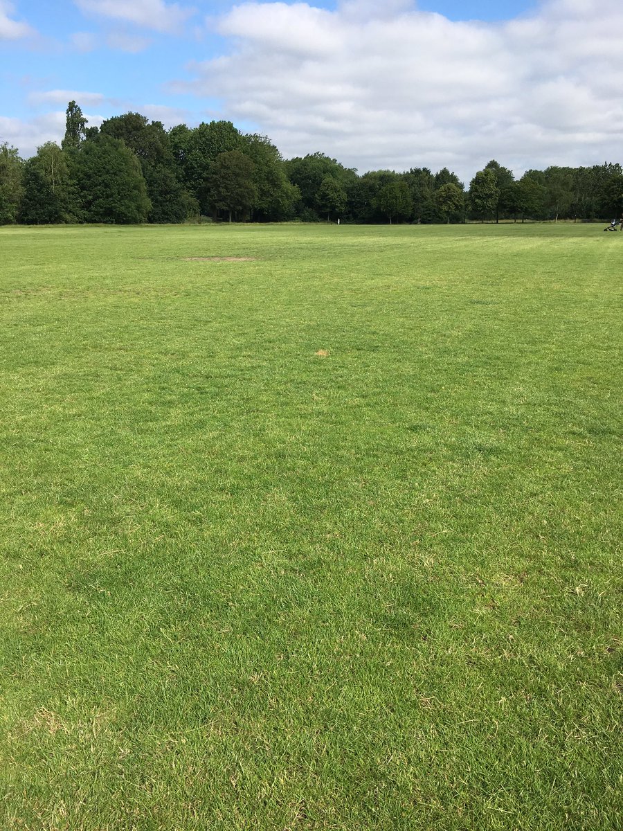 Michael, our only official litter picker, was on duty at 5.30 this morning, picking up all yesterday’s picknicking etc litter. There was a lot to do to get the Common looking pristine again by 9am. We’re very grateful - though sad that it’s necessary <a href="/wandbc/">Wandsworth Council</a> <a href="/EnableParks/">Enable Parks Wandsworth</a>