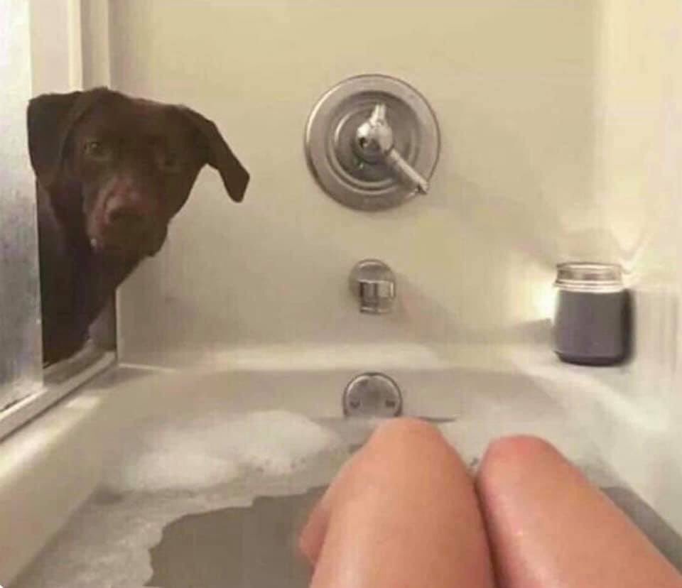 "yo they lookin for u outside, i bit a kid."