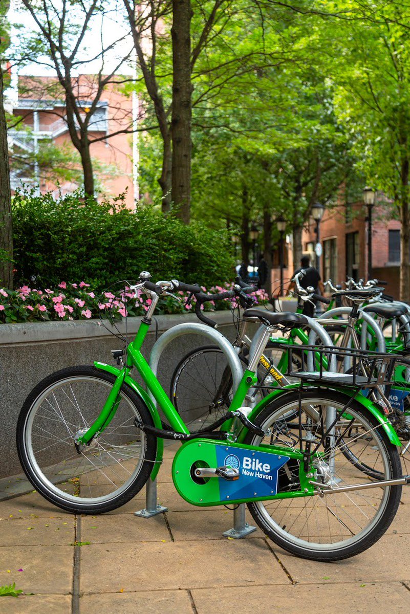InfoNewHaven's tweet photo. Exploring #NHV with the help of @bikenewhaven today!🚲 https://t.co/6YahqftL0k https://t.co/neLmGFsUWr