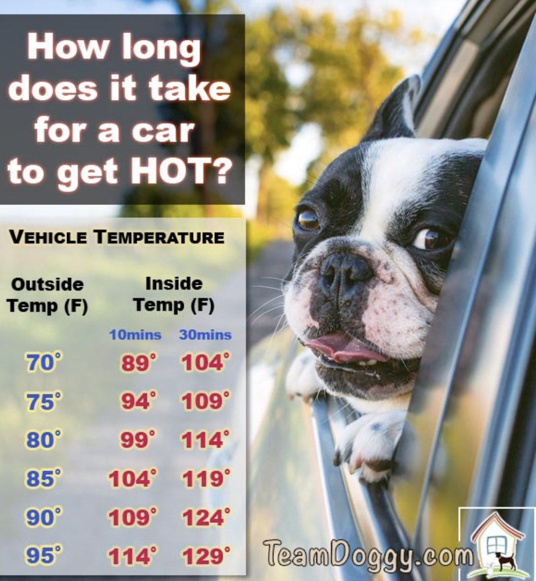 TNHighwayPatrol's tweet photo. As the summer temps rise they can become deadly to seniors, children and pets. Our cars can quickly feel like an oven inside. Never leave them unattended in vehicle. https://t.co/oAlqUnbadS