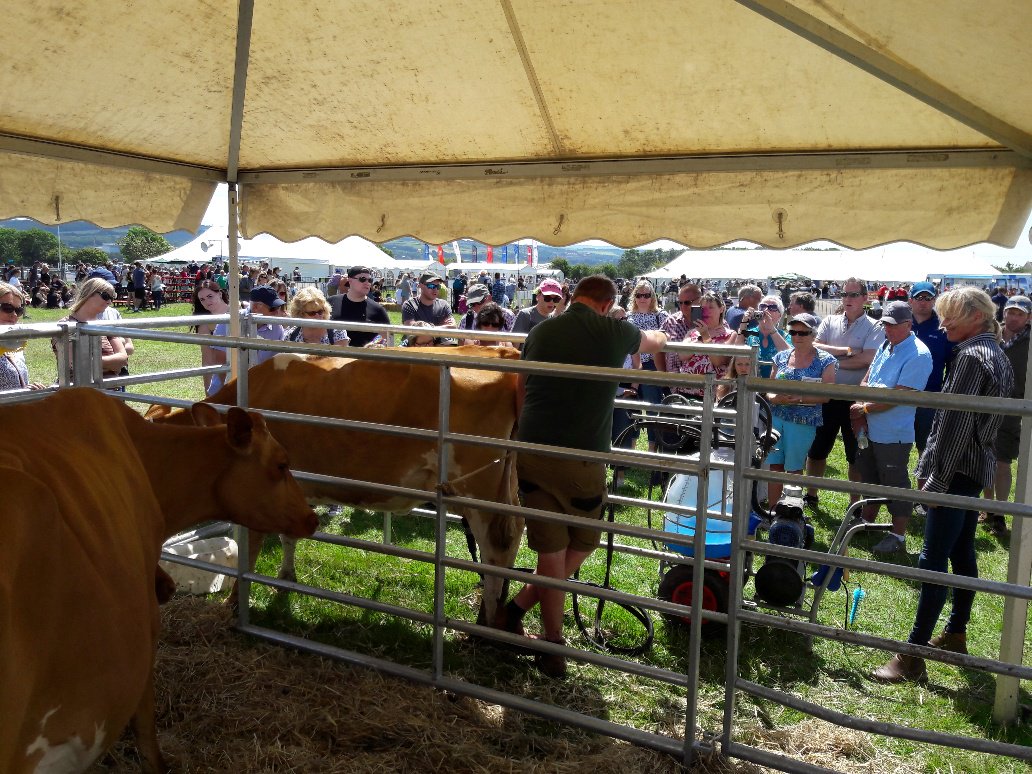 Briddlesford Farm tweet media