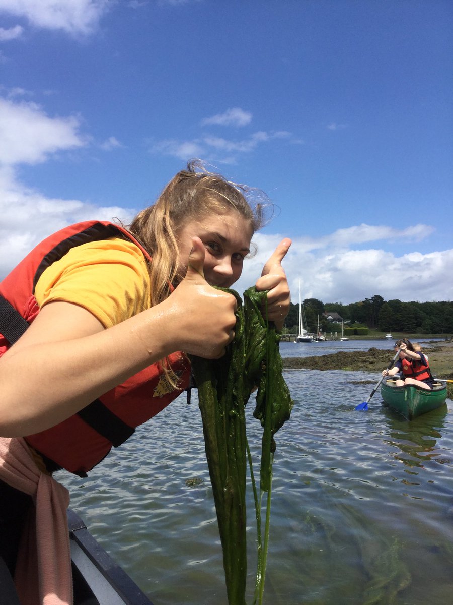 Fab day #canoeing on the Beaulieu River with our #BlashfordLakes #youngnaturalists lots of moon jellyfish, birds, butterflies and mermaid’s hair ⁦@HantsIWWildlife⁩ ⁦⁦@NewForestActivi⁩ ⁦@cameron_b_trust⁩