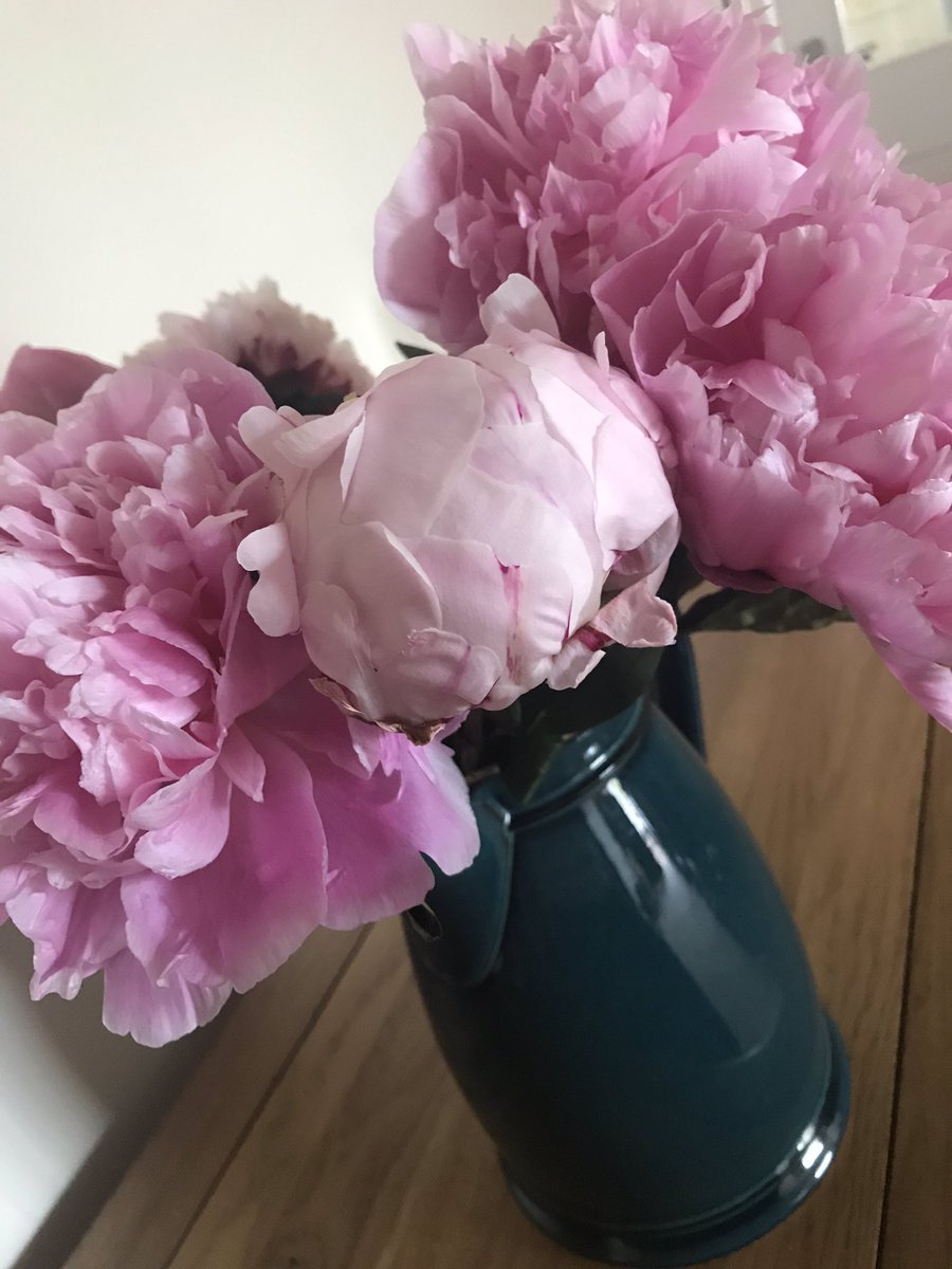 emmaacklam's tweet image. Last nights sunset, some peonies and more plants planted - been a bit busy today #sundaystuff #plants #sunset #peonies #summerdays #summer #pottedplants #petunia #geranium #nofilterneeded