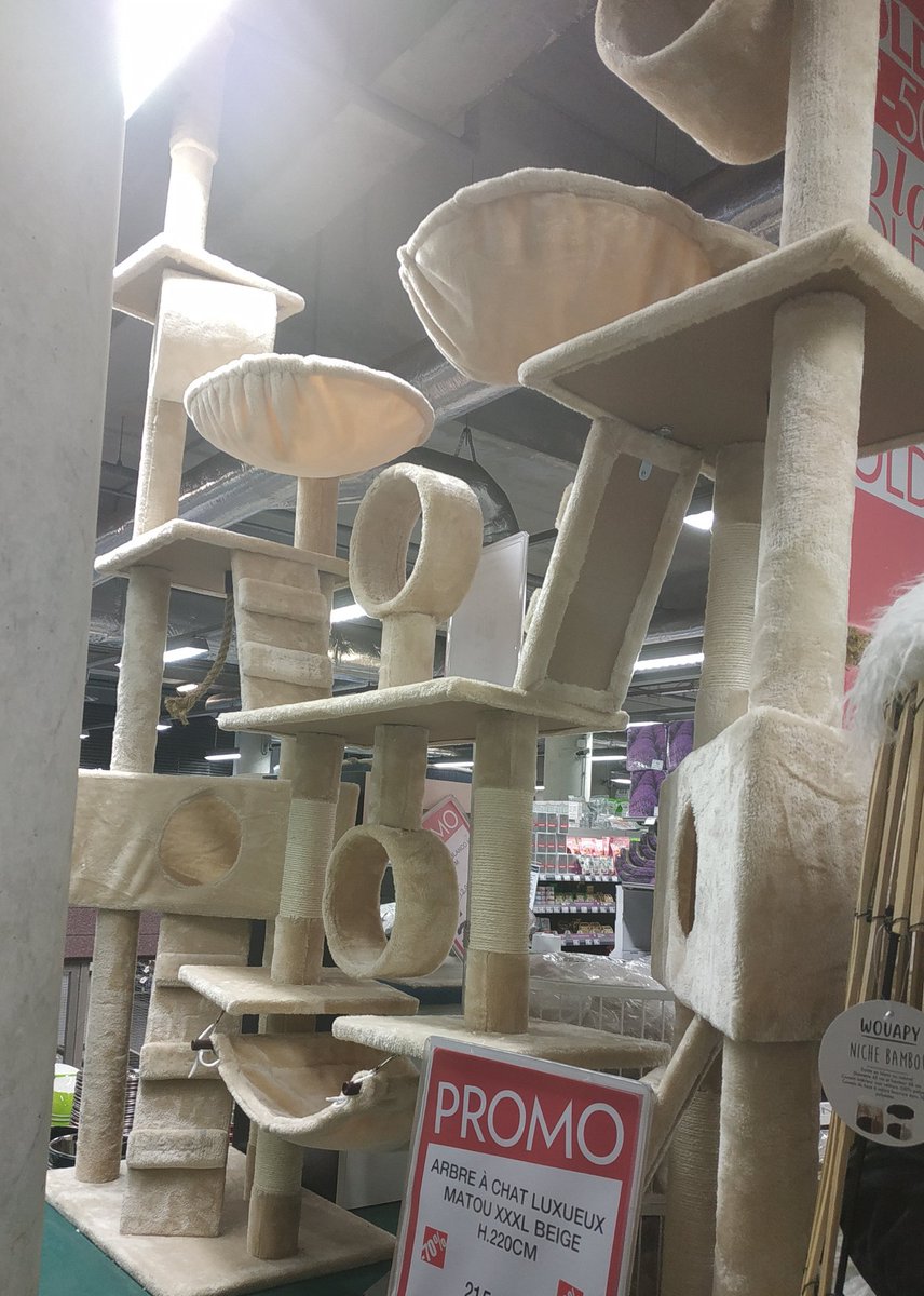 Blaise Bon Il Se Peut Que Nous Ayons Ramene Ce Palace Chez Nous Oui Tout Ca C Est Un Seul Meme Arbre A Chats Voilavoilavoila T Co 9comkkelrw Blaise Bon Il Se Peut Que Nous Ayons Ramene Ce Palace Chez Nous Oui Tout Ca C Est Un Seul Meme Arbre A Chats Voilavoilavoila T Co 9comkkelrw