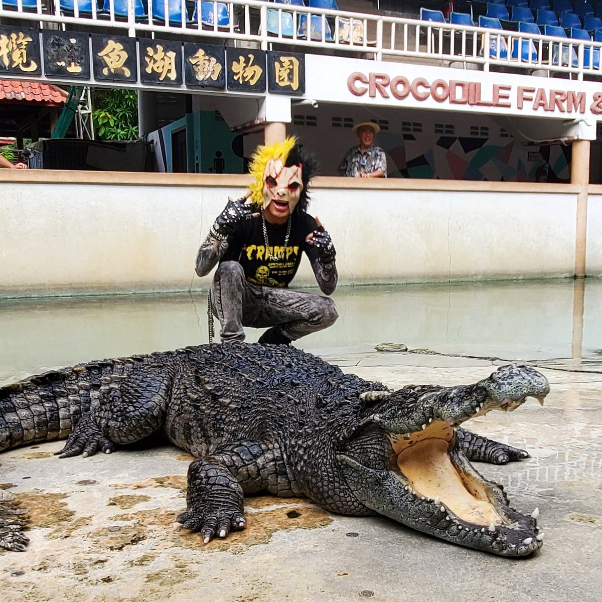 My First Encounter With A Croc 🐊
