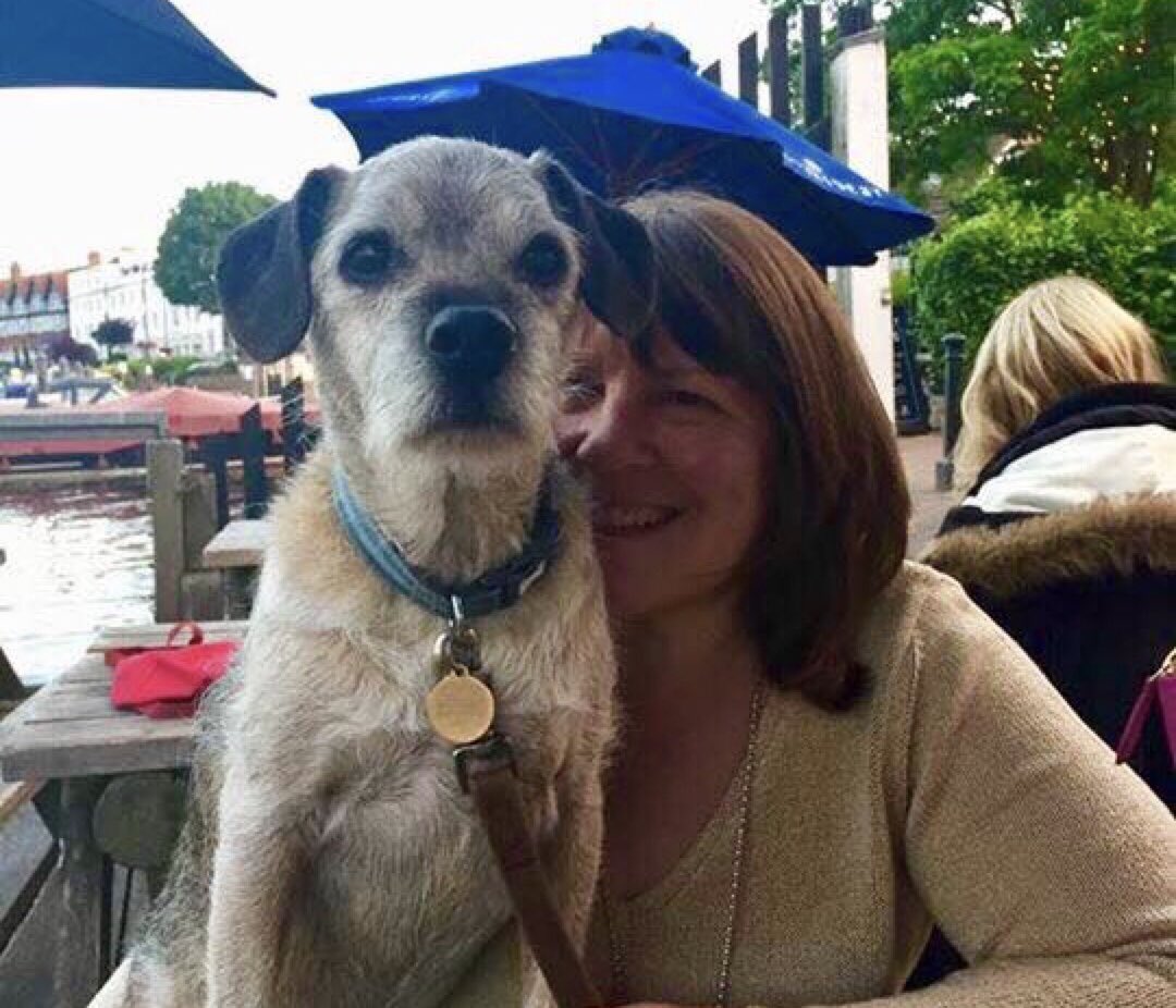 I duz appwoov as I pawsed in me daily rootine of zoomin, nommin and snoozin OTRB to look across the bwidj at some of my pals doin my fav trek to Marlow &amp; train back outing. Glad Mum &amp; Trudy did not let me down 🎵 and you all had a real good time 🎵(even if no clams to bake).