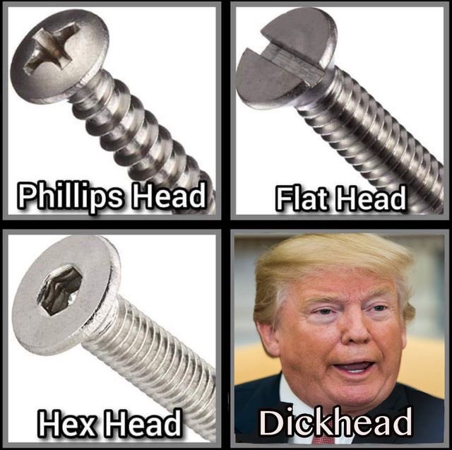 mb_holmes's tweet photo. @MKeithHarris  I found you while looking for ‘what’s worse than a dickhead’. Was hoping not to have to apologize to everyone I’d previously dubbed a dickhead. Upshot:I’ll be apologizing to those knob heads &amp; adding the prefix ‘total’ to dick head. https://t.co/JTSkQGwfcY