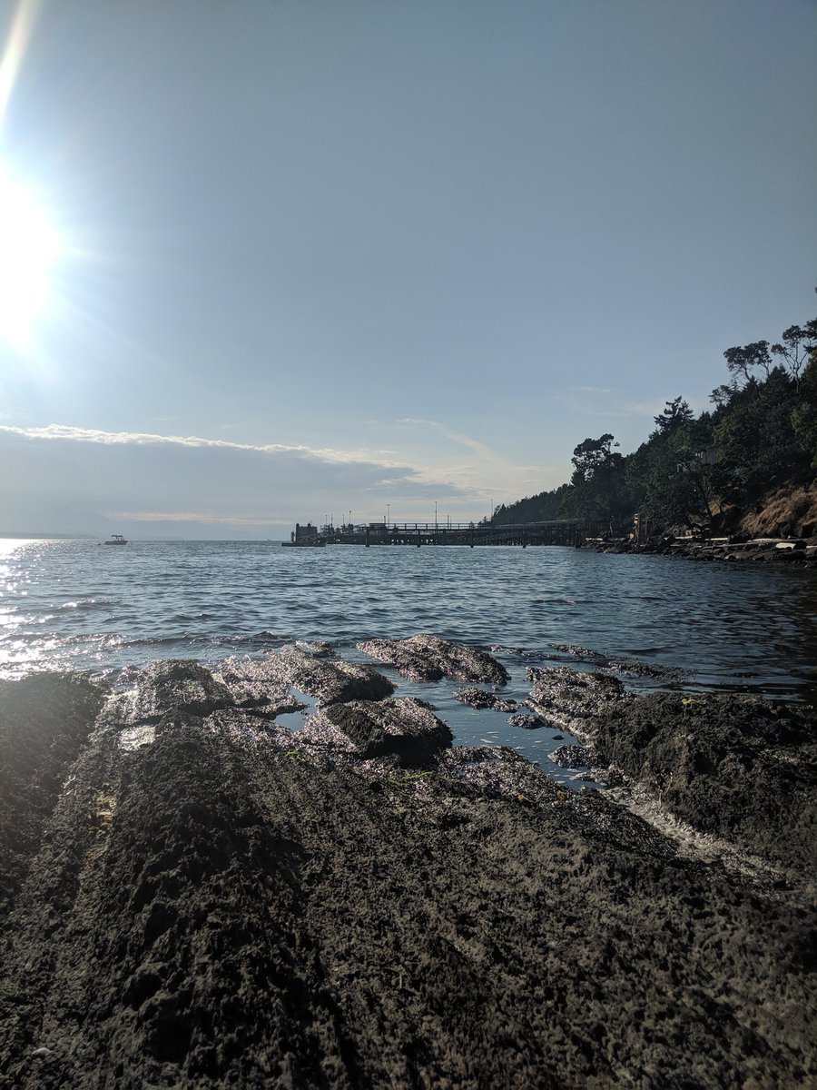 sshobii's tweet photo. Celebrating the long weekend in Salt Spring Island! #mycleangetaway @bchydro https://t.co/LIrWui9NCj