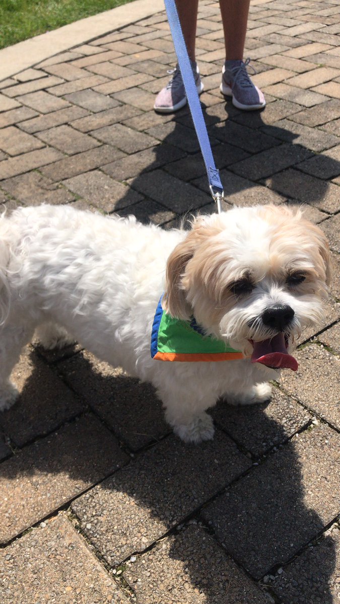 Its a great day to go to the park!!! Come join us at the <a href="/Strut2SaveLives/">Strut2SaveLives</a> event in Noblesville today, and bring your favorite furry friend with you!