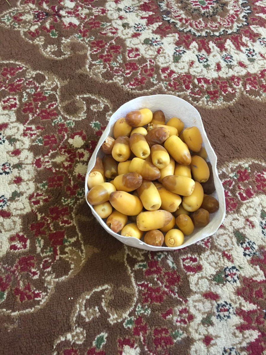 emsrt's tweet photo. باكورت إنتاج رطب ١٤٤٠هجري https://t.co/pN63DArRLv