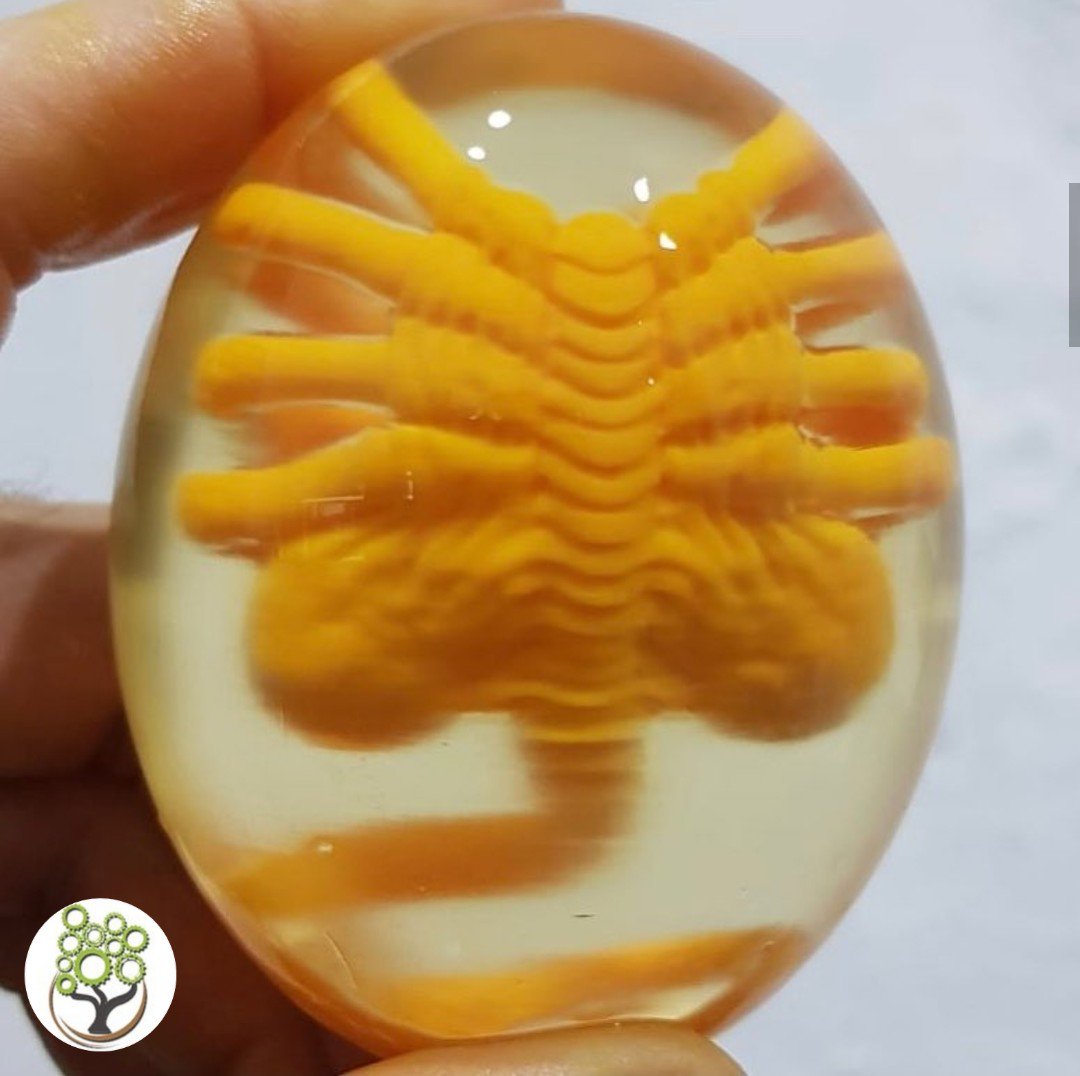 𝗟𝘂𝗶𝘀 𝙉𝙊𝙎𝙏𝙍𝙊𝙈𝙊 on Twitter "If you need a facehugger embryo, or a little