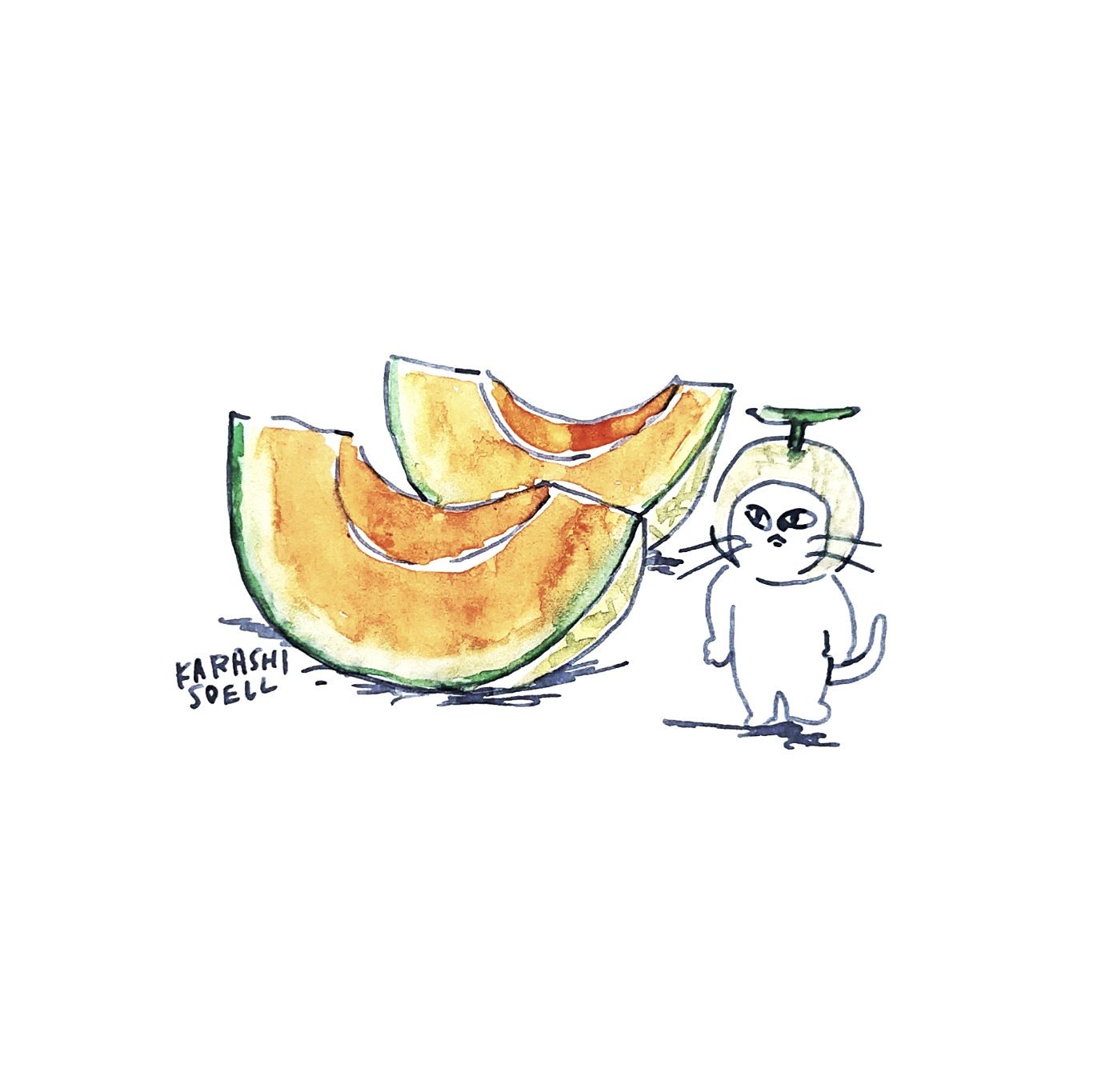 カラシソエル イラストレーター 今日のイラスト マスクメロン 今日のカラシイラスト